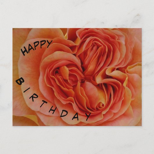 Mooie pastelroos gefeliciteerd kaart (Voorkant)