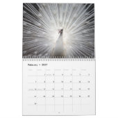 Mooie pauw 2024 kalender (Feb 2027)