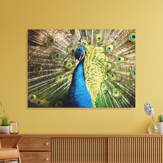 Mooie pauw canvas afdruk (Insitu (Woonkamer))