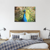 Mooie pauw canvas afdruk (Insitu (Slaapkamer))