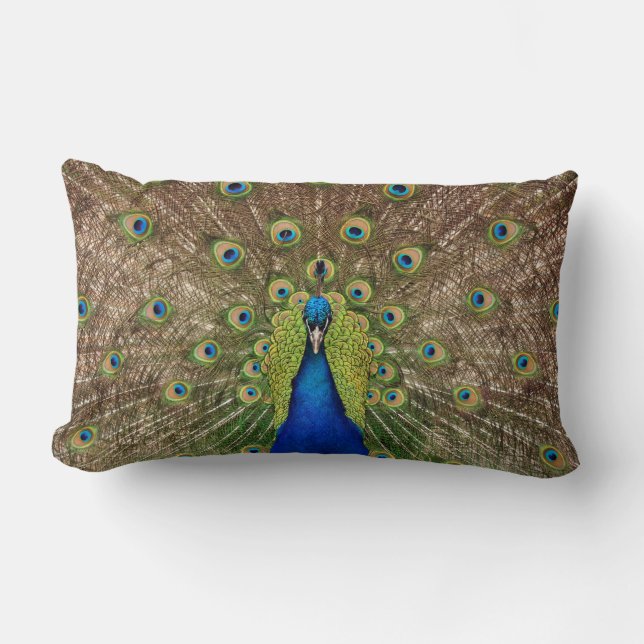 Mooie pauw en veren printen kussens (Voorkant)