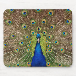 Mooie pauw en veren printen mousepad muismat