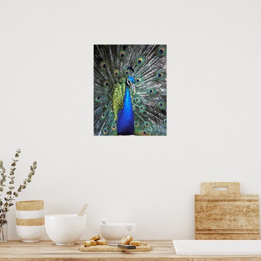 Mooie pauw spreidend kleurrijke veren poster (Keuken)