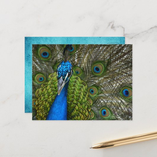 Mooie Pauwveren Briefkaart (Voorkant / Achterkant in situ)