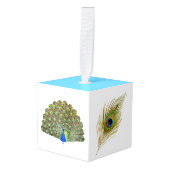 Mooie Pauwveren Decoratie (Voorkant hoekig)