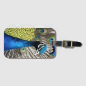 Mooie Peacock Bagagelabel (Voorkant (horizontaal))