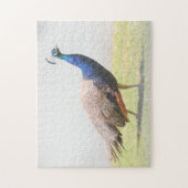 Mooie Peacock Bird Legpuzzel (Verticaal)