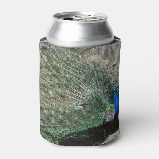 Mooie Peacock Blikjeskoeler (Blikje Voorkant)