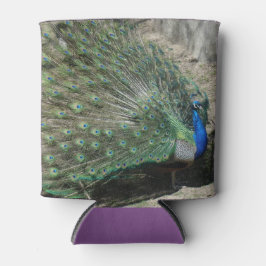 Mooie Peacock Blikjeskoeler