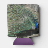 Mooie Peacock Blikjeskoeler (Achterkant)