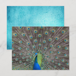 Mooie Peacock Briefkaart