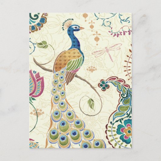 Mooie Peacock Briefkaart (Voorkant)