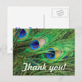 Mooie Peacock Briefkaart (Voorkant / Achterkant)