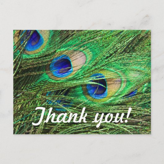 Mooie Peacock Briefkaart (Voorkant)