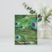 Mooie Peacock Briefkaart (Staand voorkant)