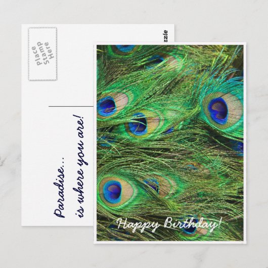 Mooie Peacock Briefkaart (Voorkant / Achterkant)