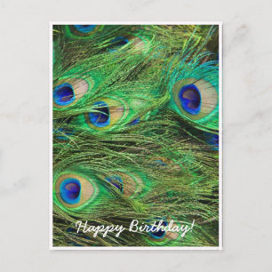 Mooie Peacock Briefkaart