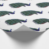 Mooie Peacock Cadeaupapier (Hoek)