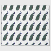Mooie Peacock Cadeaupapier (Vlak)