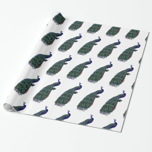 Mooie Peacock Cadeaupapier (Uitgerold)