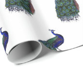 Mooie Peacock Cadeaupapier (Rol Hoek)