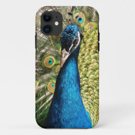 Mooie Peacock Case-Mate iPhone Case