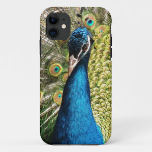 Mooie Peacock Case-Mate iPhone Case