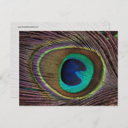 Mooie Peacock-doether Briefkaart (Voorkant / Achterkant)