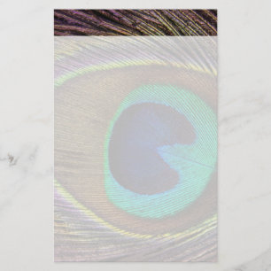 Mooie Peacock Feather Briefpapier