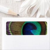 Mooie Peacock Feather Etiket (Insitu)