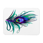 Mooie Peacock Feather Magneet (Horizontaal)