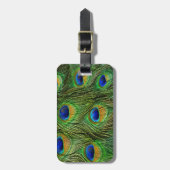 Mooie Peacock Feathers Bagagelabel (Voorkant verticaal)