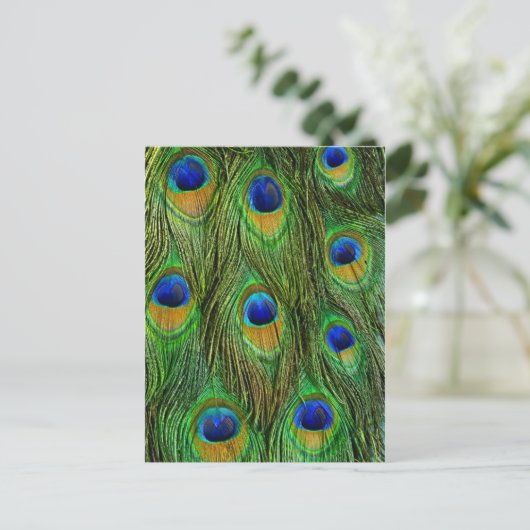 Mooie Peacock Feathers Briefkaart (Staand voorkant)
