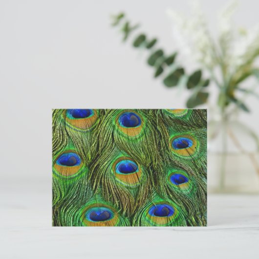 Mooie Peacock Feathers Briefkaart (Staand voorkant)