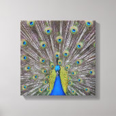 Mooie Peacock Feathers Canvas Afdruk (Voorkant)