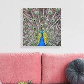 Mooie Peacock Feathers Canvas Afdruk (Insitu (Woonkamer))