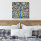 Mooie Peacock Feathers Canvas Afdruk (Insitu (Slaapkamer))