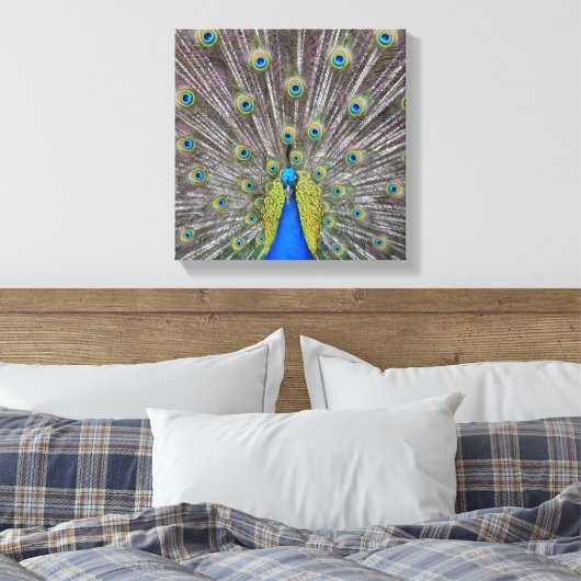 Mooie Peacock Feathers Canvas Afdruk (Insitu (Slaapkamer))
