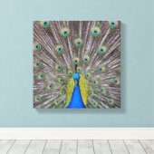Mooie Peacock Feathers Canvas Afdruk (Insitu (Houten vloer))