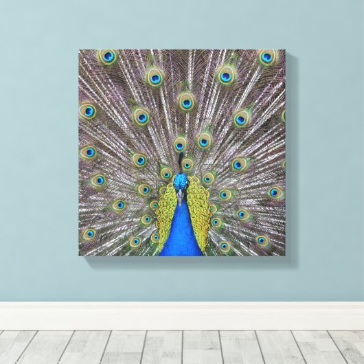 Mooie Peacock Feathers Canvas Afdruk (Insitu (Houten vloer))