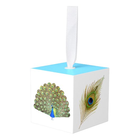 Mooie Peacock Feathers Decoratie (Voorkant hoekig)