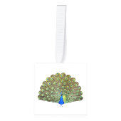 Mooie Peacock Feathers Decoratie (Voorkant)