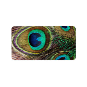 Mooie Peacock Feathers Etiket