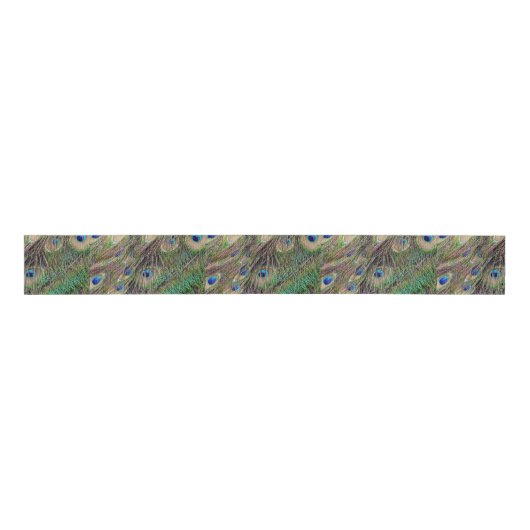 Mooie Peacock Feathers Grosgrain Lint (Voorkant)