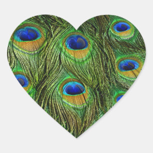 Mooie Peacock Feathers Hart Sticker