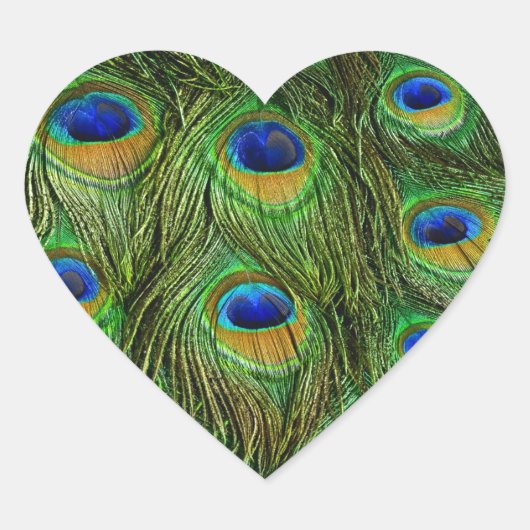 Mooie Peacock Feathers Hart Sticker (Voorkant)