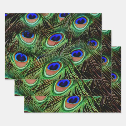 Mooie Peacock Feathers Inpakpapier Vel (Set)