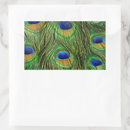Mooie Peacock Feathers Rechthoekige Sticker (Tas)
