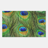 Mooie Peacock Feathers Rechthoekige Sticker (Voorkant)