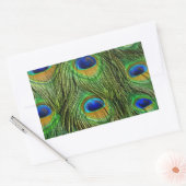 Mooie Peacock Feathers Rechthoekige Sticker (Envelop)